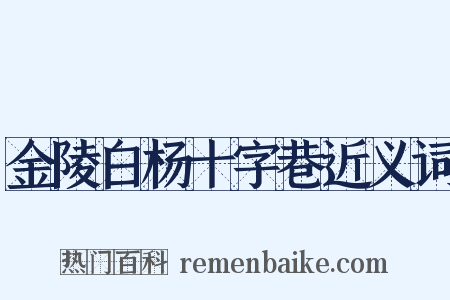 金陵白杨十字巷近义词是什么意思的图片